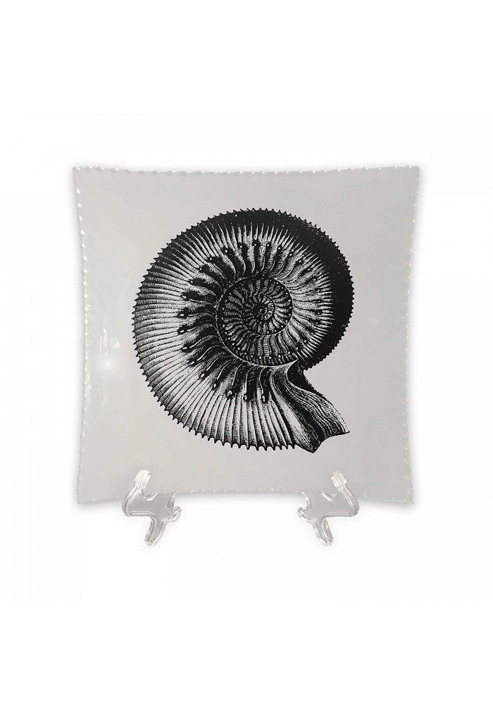 DecorShore Designs Decorative Tray with Display Stand with Nautilus Shell in Black & White Tray with Glossy Finish