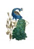DecorShore Contemporary Peacock Metal Wall Art in Gold Blue Color for Home Decor